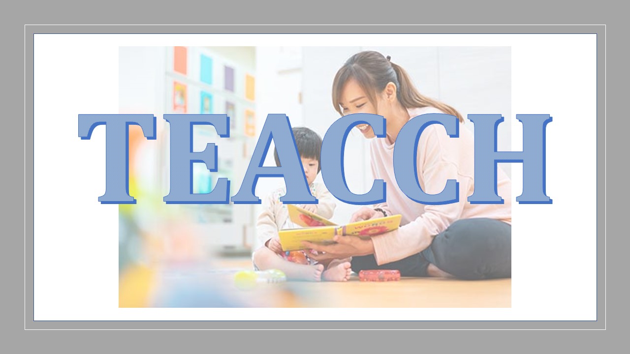 TEACCH là gì? Thiết kế môi trường có cấu trúc chuyên biệt 1 TEACCH trong lớp học: Thiết kế môi trường có cấu trúc